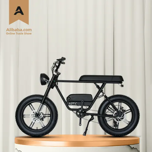 Promozione italian, Shopping online per italian promozionali - 2 posti bici  elettrica.alibaba.com