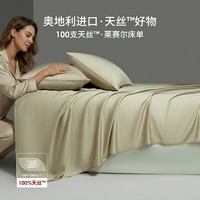 Vente en gros de linge de lit 100% Lyocell, ensemble de 4 pièces, luxe hôtelier 5 étoiles, ensemble de draps et de housse de couette, logo personnalisé