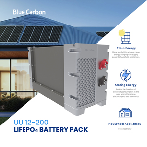 Batteria agli ioni di litio 12V 200Ah 250Ah 300Ah Lifepo4 pacco batteria solare con BMS per sistema di accumulo di energia - Product Image 6