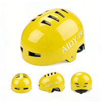 Casque de skateboard et de vélo pour adultes et enfants, personnalisable, conforme à la norme CE EN1078, pour roller et trottinette électrique, fabricant ODM OEM
