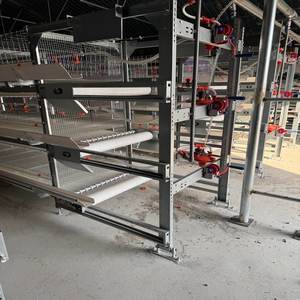 אוטומטי h-סוג הנחת תרנגולת סוללה מיצרן מהימן עבור חקלאות עופות ב enegal - Product Image 4