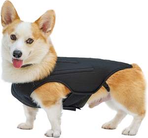 NIBAO-Protector de espalda para perros, ayuda a aliviar el dolor, recuperación quirúrgica y rehabilitación - Product Image 1