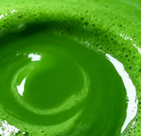 Sachets de poudre de matcha en stick OEM, sachets de thé vert instantané, marque privée