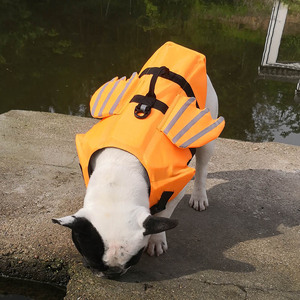 Nuevo Chaleco Salvavidas para Perros, Ligero, Transpirable, Seguro, Reflectante, Impermeable, para Exteriores - Product Image 4