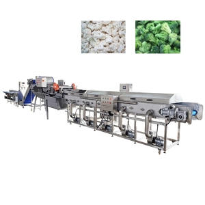Línea de Producción de Procesamiento de Coliflor y Brócoli Congelados de 1000 kg/h, Máquina para Cortar, Lavar, Escaldar, Secar y <span class=keywords><strong>Congelar</strong></span> - Product Image 4