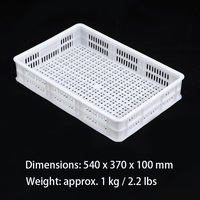 Boîte utilitaire polyvalente de 21,3'' * 14,6'' * 3,9'', bac de séchage, caisse en plastique perforée