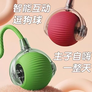 ของเล่นสุนัขแบบอินเทอร์แอคทีฟอัจฉริยะ พร้อมเชือก ช่วยคลายความเบื่อสำหรับสุนัข ให้ความบันเทิงและสนุกสนานในเวลาเล่น - Product Image 1