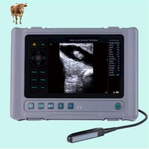 Machine à ultrasons vétérinaire à ultrasons portable échographie vétérinaire pour bâton de Diagnostic animal silice utilisation précoce vérification de la grossesse - Product Image 1