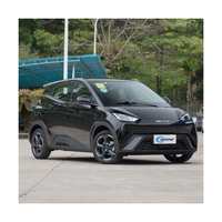 Voitures électriques BYD Seagull 2024 Honor Edition 305km Free Edition/405km Flying Edition Bon prix