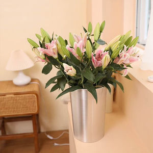 Vases à fleurs en métal de différentes tailles, pots en aluminium à auto-arrosage, design moderne pour une utilisation au sol dans les centres commerciaux avec des bonsaïs - Product Image 6