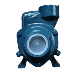Bomba de Agua Doméstica de Vórtice de Una Etapa CGO QB60, Impulsora de Baja Presión, Personalizable, Limpia, OEM, Hierro Fundido, Latón, 0.37kw, 220V - Product Image 4
