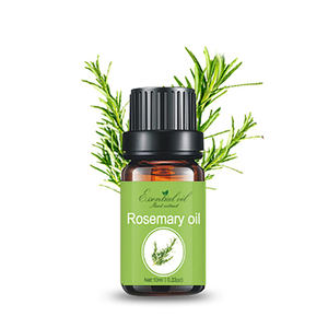 Miel Romero Aceite de menta para el crecimiento del cabello Venta al por mayor Aceite esencial a granel Aceite de Romero para el cabello - Product Image 4