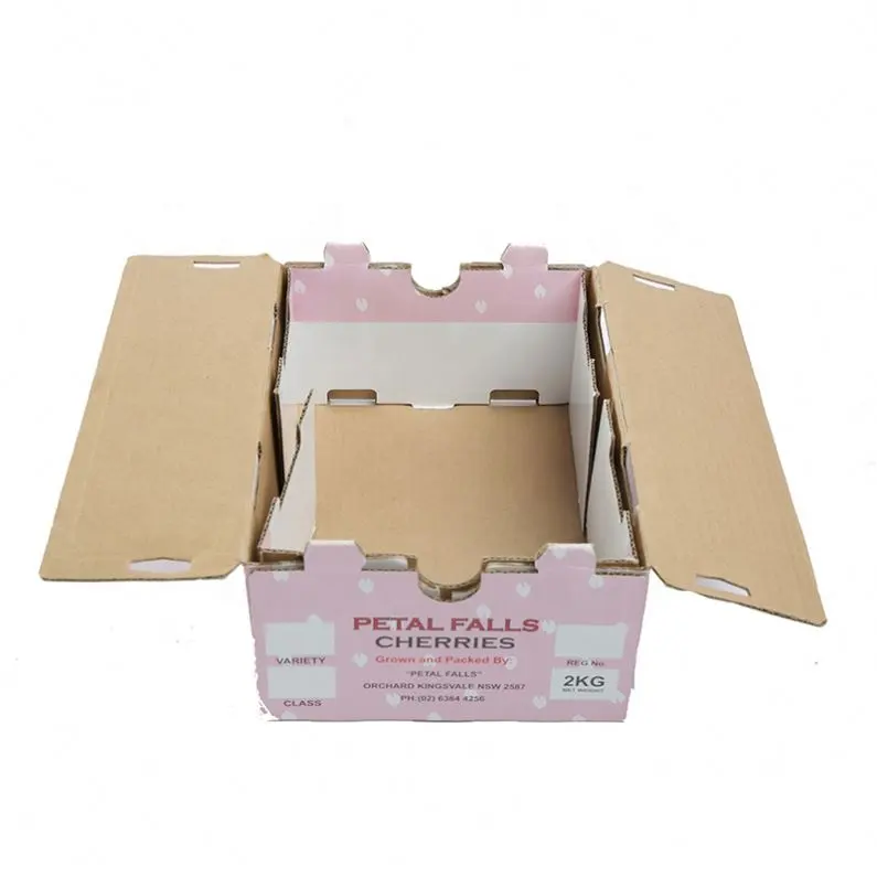 맞춤형 절묘한 과일 상자 접이식 골판지 포장 상자 체리 바나나 블루 베리 배송 상자