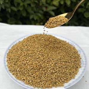 Polen de Abeja al por Mayor, Grado Alimenticio, Suministro a Granel con Empaque Estándar a Precio Competitivo, Polen de Abeja Natural Orgánico - Product Image 2