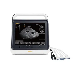 Veteriner ultrason tarayıcı taşınabilir B/W ultrason için ultrasonik makine