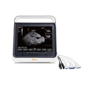 Ultrasone Machine Voor Veterinaire Ultrasone Scanner Draagbare B/W Echografie - Product Image 1
