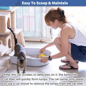 Fournisseur de litière pour chat en bentonite à absorption rapide, à forte agglomération, au <span class=keywords><strong>charbon</strong></span> actif, 5L, 10L, <span class=keywords><strong>20L</strong></span> - Product Image 5