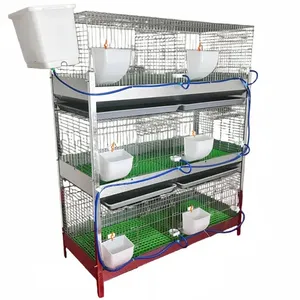 Nouveau produit : Nid d'accrochage intégré et cages à lapins pour élevage – 12 cages à lapins en tube métallique (Philippines), 1 ensemble - Product Image 1