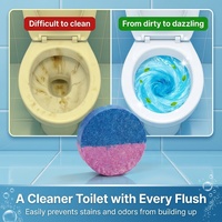 Tablettes nettoyantes et désodorisantes pour toilettes, anti-taches et anti-odeurs, sans danger pour les fosses septiques, blocs bleus à dissolution rapide