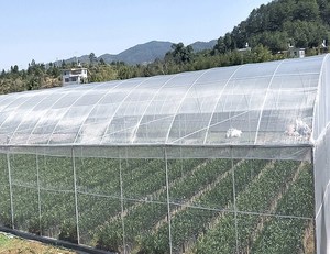 Lưới Chống Côn Trùng Bảo Vệ Cà Chua Lưới Chống Côn Trùng Hạt Tiêu Lưới Chống Côn Trùng Nông Nghiệp Cho Nông Nghiệp Rau - Product Image 4