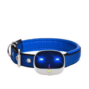 Rastreador Gps inalámbrico 4G LTE para mascotas portátil IP68 tono de llamada a prueba de agua para encontrar gatos y perros seguimiento en tiempo Real Mini rastreador Gps - Product Image 1