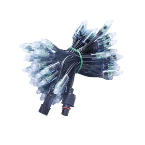 2811 pixel RGB phẳng 5V <span class=keywords><strong>LED</strong></span> ánh sáng chuỗi 12 mét ws2811 UCS 1903 <span class=keywords><strong>LED</strong></span> <span class=keywords><strong>MODULE</strong></span> - Product Image 3