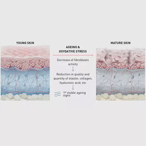 Ampoules de sérum N.CTF HA <span class=keywords><strong>134</strong></span> pour l'élimination des marques d'acné, booster cutané, améliore la qualité et la texture de la peau - Product Image 3