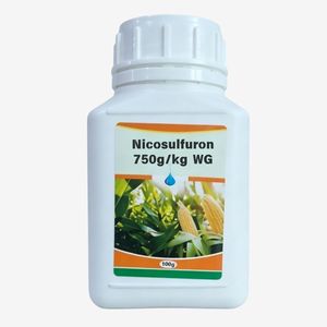 Nicosulfuron 75% WDG WG Sulfonylurea Herbicide <span class=keywords><strong>Sélectif</strong></span> Post-Émergence pour le Contrôle des Adventices Annuelles dans les Champs de Maïs - Product Image 1