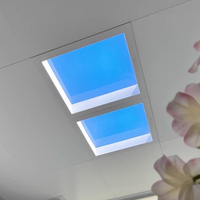 Plafonnier LED encastré fin SUEZ en aluminium naturel pour chambre à coucher, panneau de lumière artificielle pour ciel ouvert