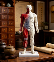 Modèle de cuivre pour la formation en acupuncture de la médecine traditionnelle chinoise, avec marquages de l'échelle numérique et caractères plus clairs