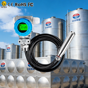 Capteur de niveau d'eau submersible anti-explosion SS304 avec écran LCD, IP68, RS485, 4-20mA, type 2088 - Product Image 1