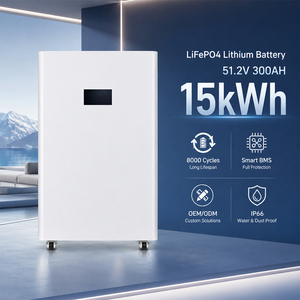 แบตเตอรี่ลิเธียมไอรอนฟอสเฟต (LiFePO4) แบบตั้งพื้น 51.2V 300Ah สำหรับบ้าน พร้อมล้อเลื่อน รุ่นใหม่ล่าสุด - Product Image 3