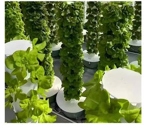 Machine de plantation de légumes Équipement de culture hors sol Tour aéroponique Jardin Kit de système hydroponique vertical - Product Image 6