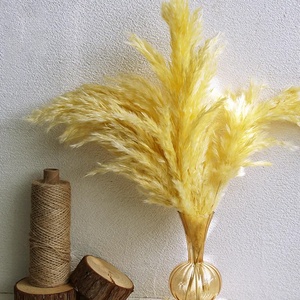 Colorido seco lujo Pampas hierba penacho flor Natural Real conservado salvaje seco Pampas hierba para decoración de boda - Product Image 6