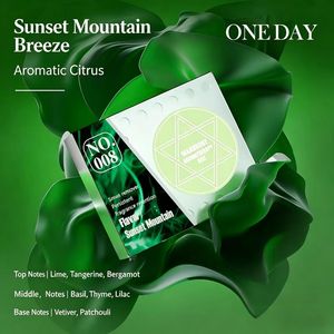 Factory 180g Solid <b>Perfume</b> for Car and Home Custom Air Freshener with Aromatherapy Scents Wholesale Eliminator - Product Image 4