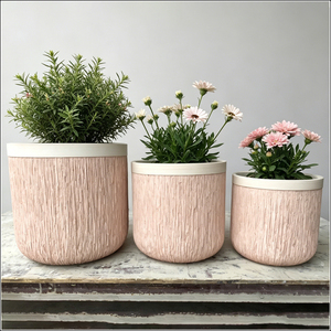 Mini Maceta con Forma de Macaron, Pequeña Maceta Creativa para Decoración de Plantas de Agua en el Hogar y la Oficina - Product Image 1