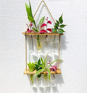 Promotion : Jardinière murale à 2 niveaux pour la propagation des plantes, terrarium pour la culture hydroponique, décoration maison et bureau - Product Image 4