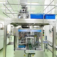 Machine d'emballage automatique verticale LWT pour pâtes et macaronis en sachet, 200g-2000g, en papier pour l'emballage et le collage alimentaire