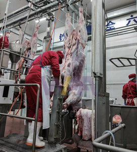 Máquina <span class=keywords><strong>de</strong></span> matanza <span class=keywords><strong>de</strong></span> vacas <span class=keywords><strong>de</strong></span> fácil instalación para procesamiento <span class=keywords><strong>de</strong></span> carne Halal, Riel <span class=keywords><strong>de</strong></span> transporte <span class=keywords><strong>de</strong></span> planta <span class=keywords><strong>de</strong></span> matadero <span class=keywords><strong>de</strong></span> ganado, <span class=keywords><strong>precio</strong></span> - Product Image 6