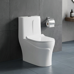 WC monobloc en céramique au design moderne, très demandé, pour hôtels – Sanitaires - Product Image 4