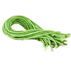 Fresh green vegetables string beans suppliers