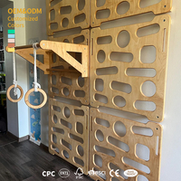 Échelle murale en bois pour cadre d'escalade intérieur pour enfants de 2 à 10 ans Montessori Toddler Climber Panel Active Play Gym pour la maison