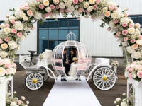 Chariot de Mariage Cendrillon Citrouille Rose Métallique - Transport Spécial à Vendre