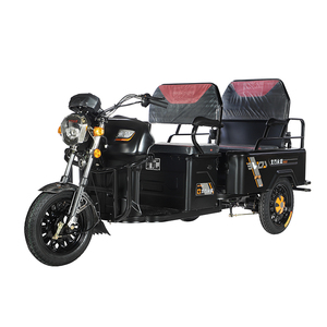 Motocicleta Eléctrica 2025 de <span class=keywords><strong>3</strong></span> Ruedas, 2 Asientos, Triciclo Eléctrico, Venta Caliente - Product Image 1