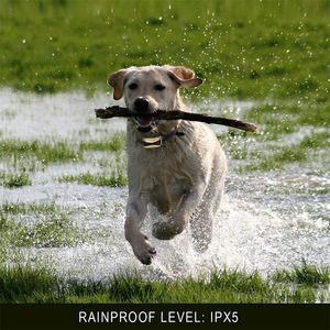 स्वयं नींद विरोधी छाल कॉलर कुत्तों के लिए पालतू पशु प्रशिक्षण उत्पादों 1 कुत्ते इलेक्ट्रॉनिक बार्क नियंत्रण बीप ध्वनि और सदमे समायोज्य 12 महीने - Product Image 6