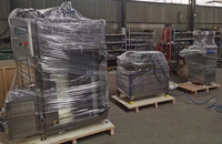 Machine à fumer la viande (poisson, poulet, dinde, saucisses) à commande PLC, avec système électrique et gaz