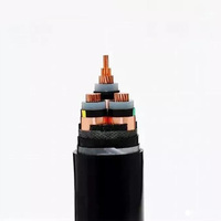 Cable de tensión media 1,8/3kV 3,6/6kV 6/10kV 8,7/15kV 12/20kV 21/35kV 26/35kV CU/XLPE/CTS/PVC/SWA/PVC
