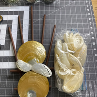 30 Coquilles d'ormeaux argentées - De 1,6 à 2,4 pouces - Idéales pour la décoration de plage côtière - Décoration de maison de plage