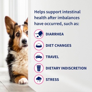 60 tabletas masticables múltiples cepas bacterias suplemento diario de salud digestiva prebióticos <span class=keywords><strong>probióticos</strong></span> <span class=keywords><strong>para</strong></span> <span class=keywords><strong>perros</strong></span> en polvo - Product Image 3
