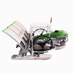 Chinese 6 Rows Walking Type Rice Transplanter Machine 6 Rows Farm Rice Paddy Transplanter Machine With Gasoline Engine